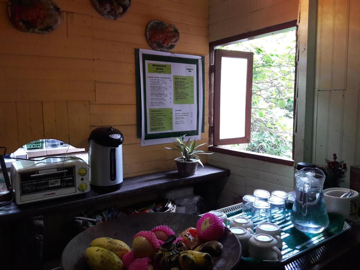 Oasis Balili Heritage Lodge Tagbilaran Exterior foto